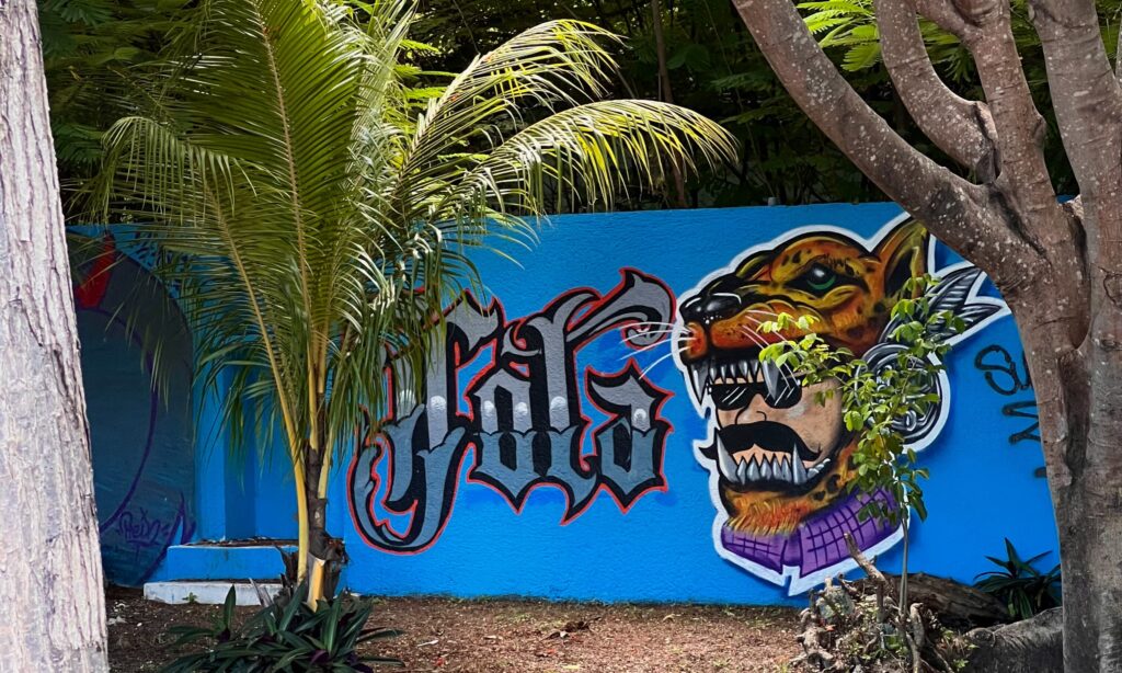 Hola graffiti