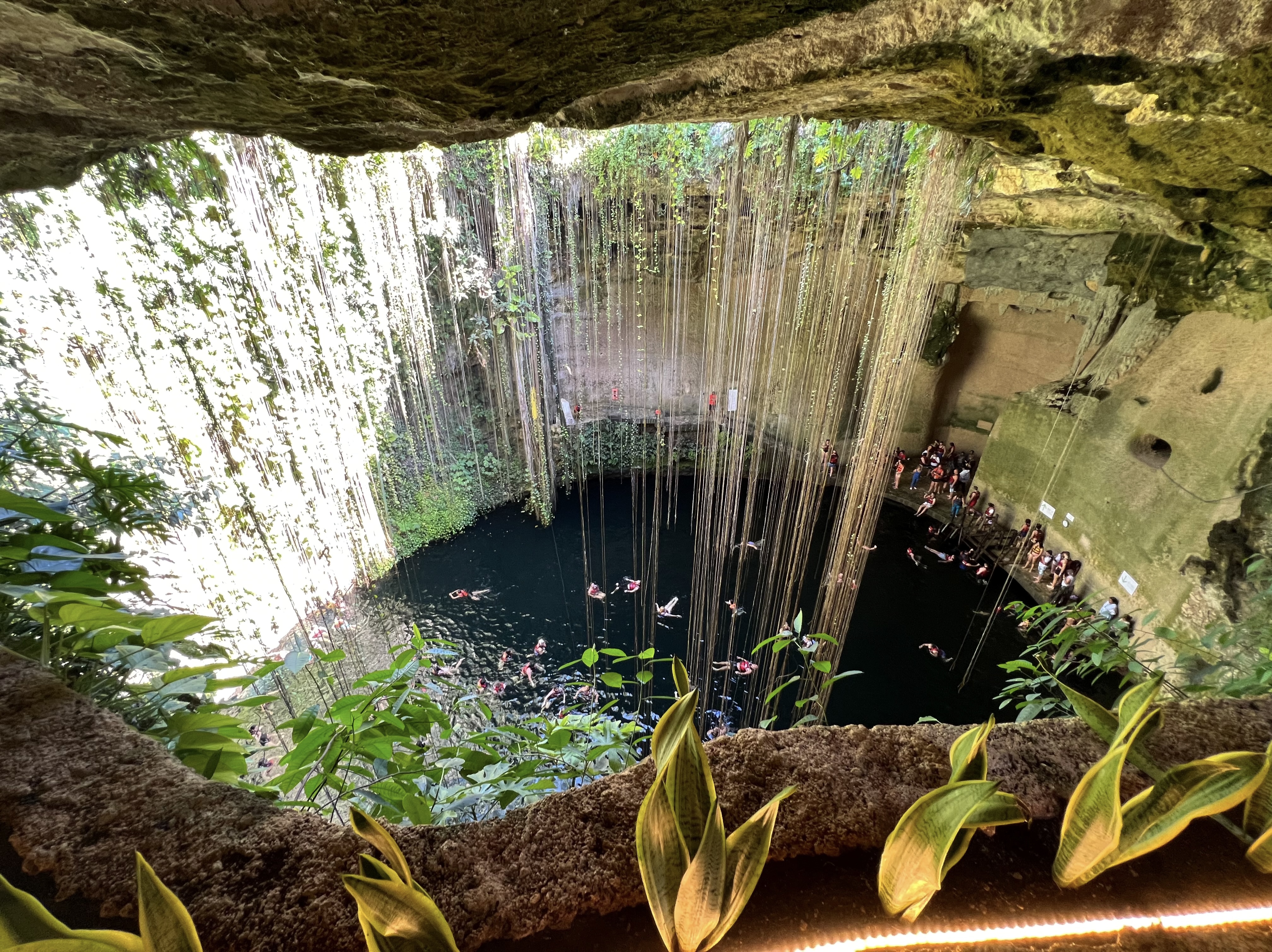 View of Cenote Ik Kil from above, with vines hanging down, people swimming in the water below, and plants framing the scene