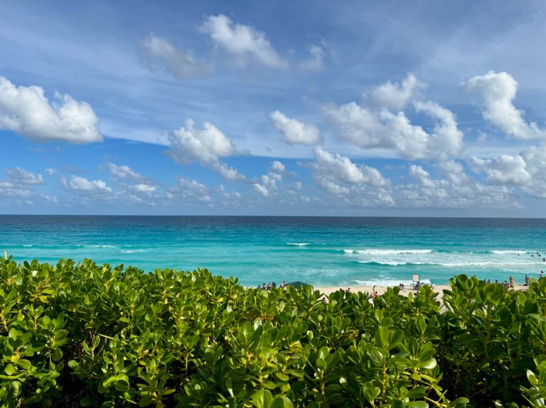 Bushes and turquoise sea the view from Playa Delfines best beach in Cancun