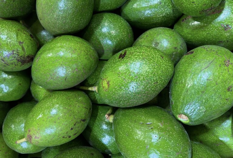 Mexican Avocados