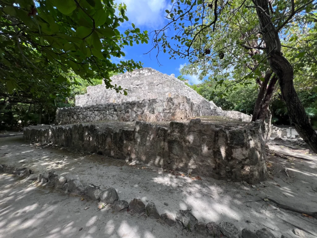 A Maya pyramid surrounded by jungle vegetation at San Miguelito archeological zone.